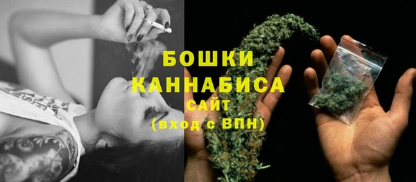 стаф Володарск