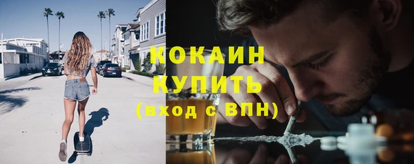 стаф Володарск