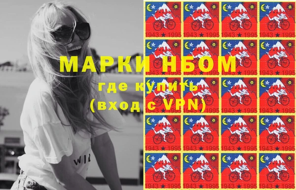 стаф Володарск