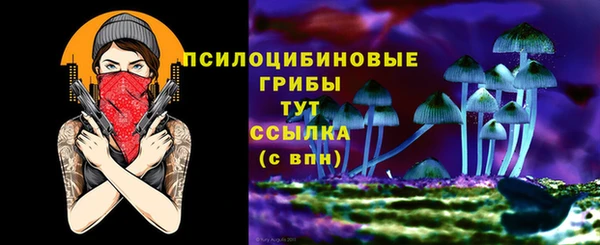 стаф Володарск