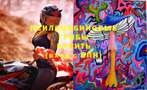 стаф Володарск
