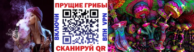 Псилоцибиновые грибы прущие грибы  где найти   Тверь 